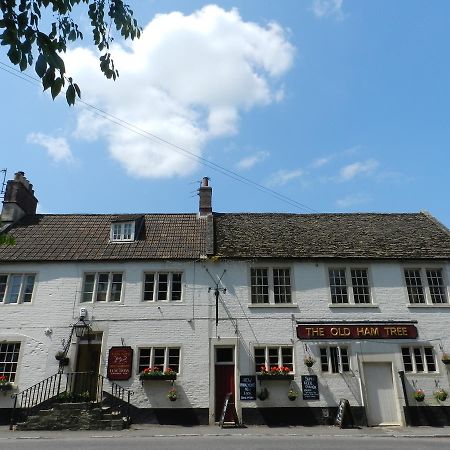 The Old Ham Tree Hotell Holt  Eksteriør bilde