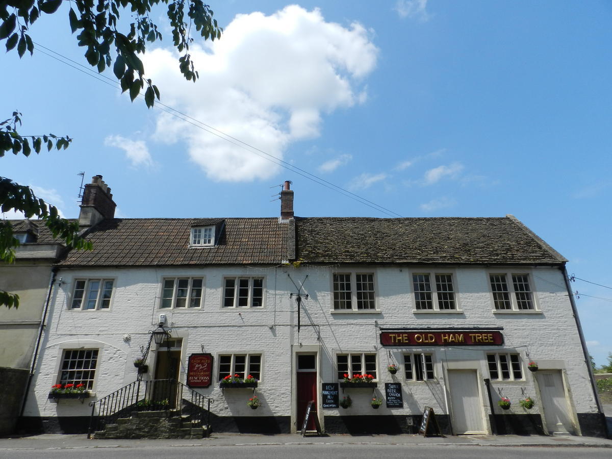 The Old Ham Tree Hotell Holt  Eksteriør bilde