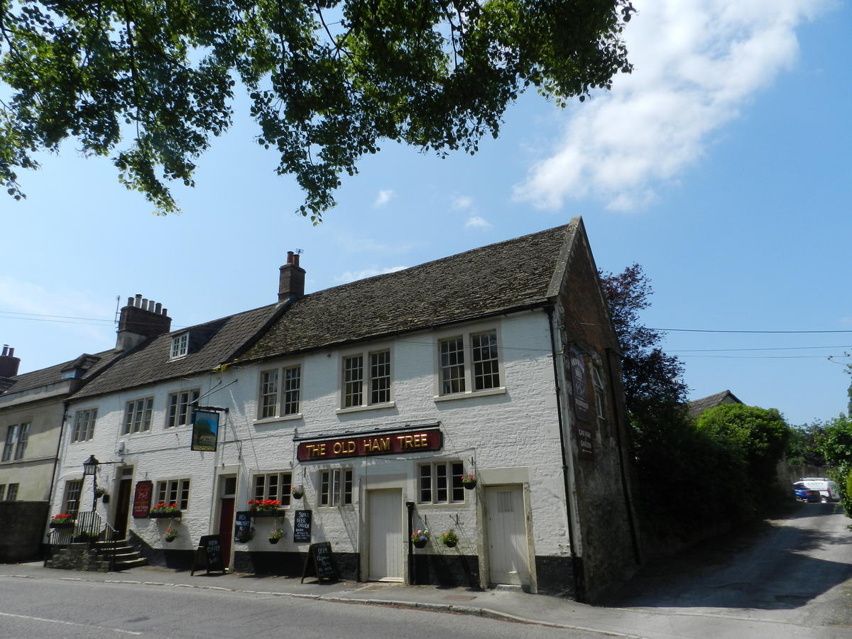 The Old Ham Tree Hotell Holt  Eksteriør bilde